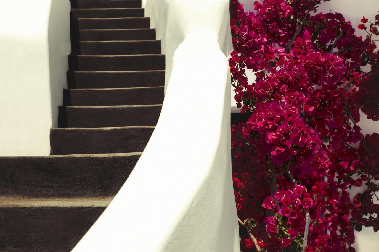 Chelidonia Luxury Suites Oia  Bagian luar foto